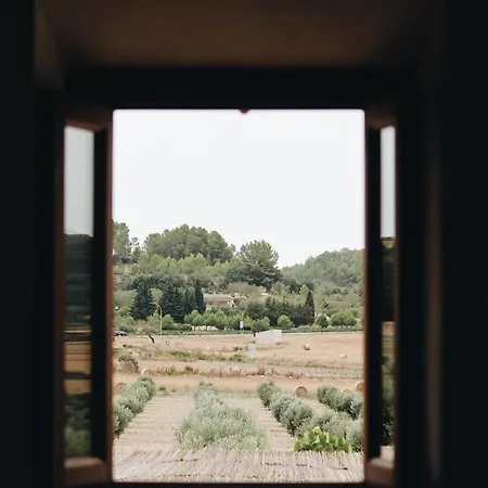 Gossalba Séjour à la ferme *
